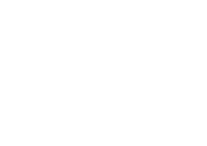 The Ohio State University