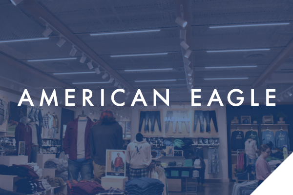 American Eagle: Seamless life cycle project management